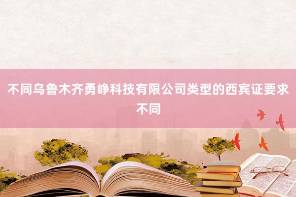 不同乌鲁木齐勇峥科技有限公司类型的西宾证要求不同