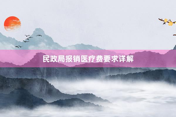 民政局报销医疗费要求详解